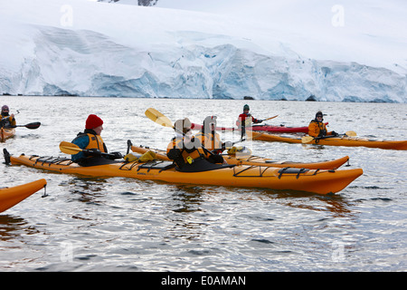 Gruppe von Meer Kajakfahrer in Port Lockroy Antarktis Stockfoto