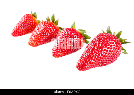Studioaufnahme von reif und lebendige Erdbeeren Stockfoto