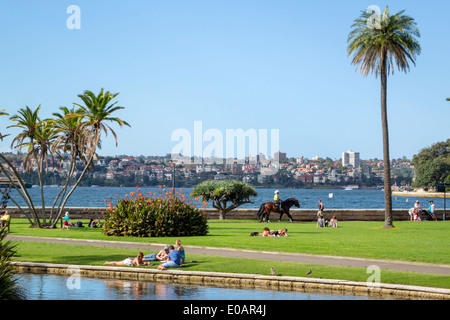 Sydney Australien, Royal Botanic Gardens, Main Pond, Farm Cove, Sydney Harbour, Hafen, Park, AU140309171 Stockfoto