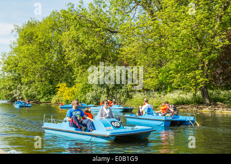 Tretboote auf dem See im Regents Park, London, England, Großbritannien Stockfoto