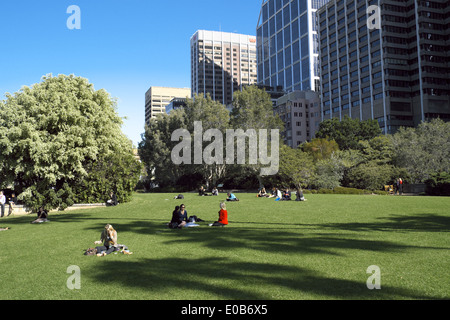 Royal Botanic Gardens in Sydney, Australien Stockfoto