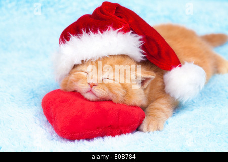 Kleine süße Kätzchen trägt Weihnachtsmütze Rutschen auf dem herzförmigen Kissen Stockfoto