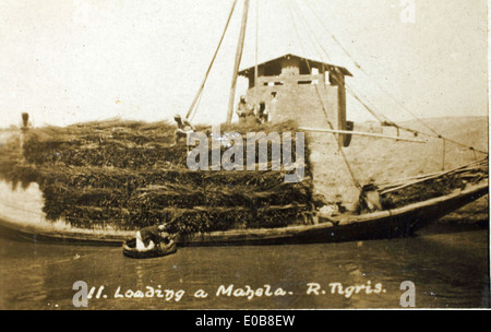 Laden einer Mahela - Fluss Tigris Stockfoto