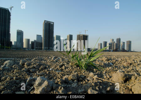 TIANJIN, China. 5. MAI 2014. Das unvollendete Büro- und Wohngebiet Hochhäuser des neuen Yujiapu Finanzviertels, Teil des Binhai Neubaugebiet stehen gespenstisch leer. Nach Meinung der Analysten von Nomura Chinas Immobilienblase geplatzt, und die Wirtschaft des Landes könnte dramatisch langsam, es sei denn, Beijing mit neue Konjunkturmaßnahmen Schritte. © Olli Geibel Stockfoto