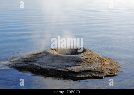 Angeln, Kegel-Geysir, Yellowstone Lake, West Thumb Geyser Basin, Yellowstone-Nationalpark, Wyoming, USA Stockfoto