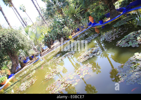 Majorelle Garten, im Besitz von Yves Saint Laurent ist ein zwölf Hektar großen Botanischen Garten und Landschaftsgarten des Künstlers in Marrakesch Stockfoto