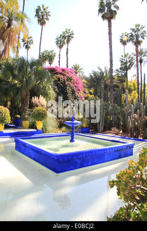 Majorelle Garten, im Besitz von Yves Saint Laurent ist ein zwölf Hektar großen Botanischen Garten und Landschaftsgarten des Künstlers in Marrakesch Stockfoto