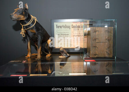 Berlin, Deutschland. 8. Mai 2014. Ein seziert Alarm Hund ist in der Ausstellung "Netzwerke des Krieges" im Museum für Kommunikation in Berlin, Deutschland, 8. Mai 2014. Foto: JULIA MUELLER/Dpa/Alamy Live News Stockfoto