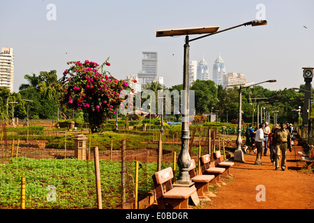 Mumbai Marine Drive Ansichten, Luxus-Wohnungen, Häuser, Parsi Türme des Schweigens, grünen Wohngegend, Gärten, Mumbai, Bombay, Indien Stockfoto