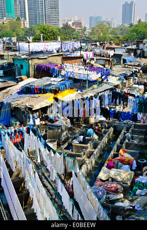 Stadt-Wäscherei basiert vor steigenden Mehrfamilienhäuser wo Hotel Wäsche gewaschen und getrocknet in heißen Sonne, Bombay, Mumbai, Indien Stockfoto