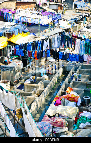 Stadt-Wäscherei basiert vor steigenden Mehrfamilienhäuser wo Hotel Wäsche gewaschen und getrocknet in heißen Sonne, Bombay, Mumbai, Indien Stockfoto