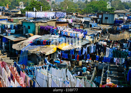 Stadt-Wäscherei basiert vor steigenden Mehrfamilienhäuser wo Hotel Wäsche gewaschen und getrocknet in heißen Sonne, Bombay, Mumbai, Indien Stockfoto