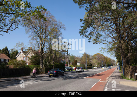 Städtischen Wohnstraße mit Bus und Cycle Lane. Stockfoto