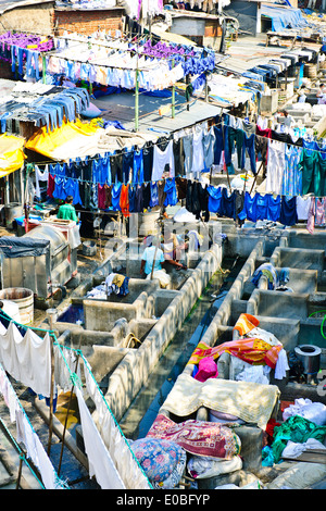Stadt-Wäscherei basiert vor steigenden Mehrfamilienhäuser wo Hotel Wäsche gewaschen und getrocknet in heißen Sonne, Bombay, Mumbai, Indien Stockfoto