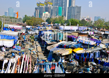 Stadt-Wäscherei basiert vor steigenden Mehrfamilienhäuser wo Hotel Wäsche gewaschen und getrocknet in heißen Sonne, Bombay, Mumbai, Indien Stockfoto