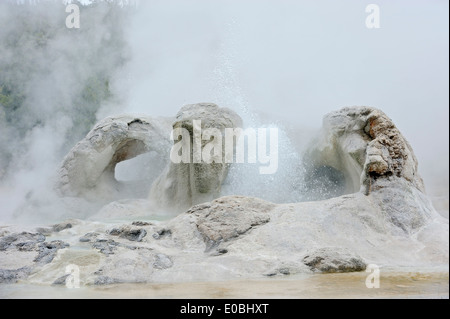 Grotto Geysir, Upper Geyser Basin, Yellowstone Nationalpark, Wyoming, USA Stockfoto