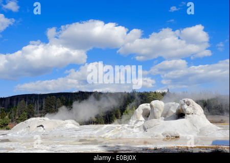 Grotto Geysir, Upper Geyser Basin, Yellowstone Nationalpark, Wyoming, USA Stockfoto