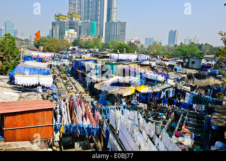 Stadt-Wäscherei basiert vor steigenden Mehrfamilienhäuser wo Hotel Wäsche gewaschen und getrocknet in heißen Sonne, Bombay, Mumbai, Indien Stockfoto