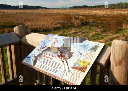 Interpretierende Board auf Aussichtsplattform, Bandon Marsh National Wildlife Refuge, Ni-les'tun Einheit, Oregon Stockfoto