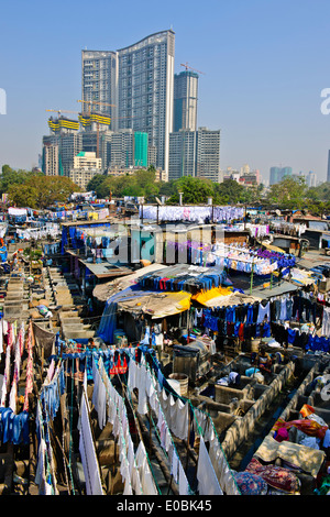 Stadt-Wäscherei basiert vor steigenden Mehrfamilienhäuser wo Hotel Wäsche gewaschen und getrocknet in heißen Sonne, Bombay, Mumbai, Indien Stockfoto