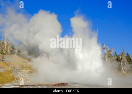 Grand Geysir, Upper Geyser Basin, Yellowstone Nationalpark, Wyoming, USA Stockfoto