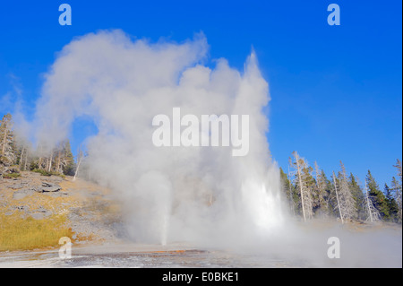 Grand Geysir, Upper Geyser Basin, Yellowstone Nationalpark, Wyoming, USA Stockfoto