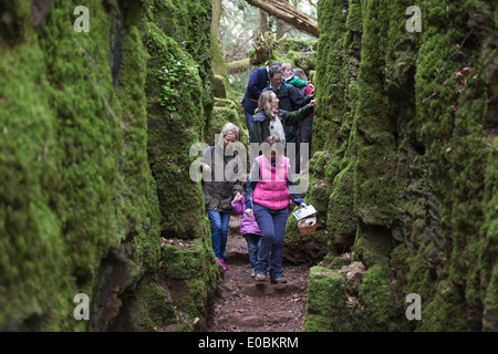 PuzzleWood, Wald des Dekans, Gloucestershire, England, Vereinigtes Königreich Stockfoto