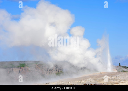 Old Faithful Geysir, Upper Geyser Basin, Yellowstone-Nationalpark, Wyoming, USA Stockfoto