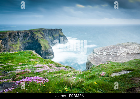 Hag es Head an Klippen von Moher mit rosa Meer Sparsamkeit im Vordergrund Stockfoto
