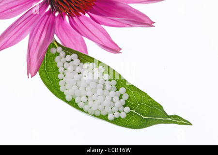 Globulis zur Behandlung von Krankheiten in die sanfte, alternative Medizin. Tabletten und Drogen Stockfoto