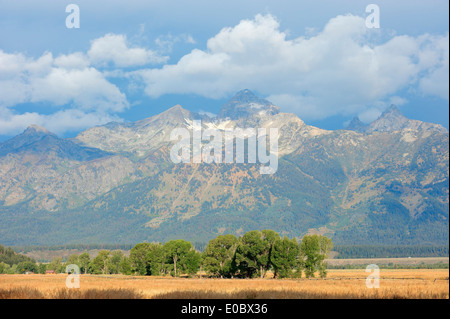Teton Bergkette, Grand-Teton-Nationalpark, Wyoming, USA Stockfoto
