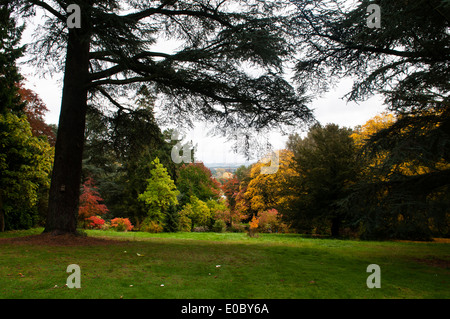 ZÜNDETEN ARBORETUM HERBST Stockfoto