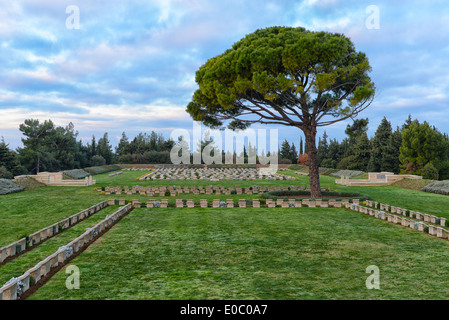 Zwölf Baum Copse Friedhof in Gallipoli, Türkei Stockfoto