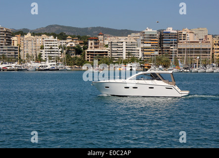 Luxus Mallorca - Motorboot Sealine SC35 - Palma Paseo Maritimo + Häfen - Palma De Mallorca / Mallorca, Balearen Stockfoto