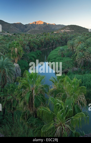 Mulege Fluss und Palmen Bäume, Mulege, Baja California Sur, Mexiko Stockfoto