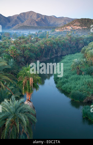 Mulege Fluss und Palmen Bäume, Mulege, Baja California Sur, Mexiko Stockfoto