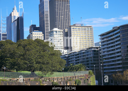 Stadtzentrum von Sydney gesehen von den royal Botanic Gardens, Australien Stockfoto