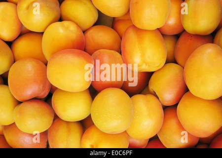Aprikose Aprikose Frucht Aprikosen Aprikosen Vitamine essen erholt Essen Essen Ernährung vegetarisch vegetarische gesund gesunde Biologie biol Stockfoto