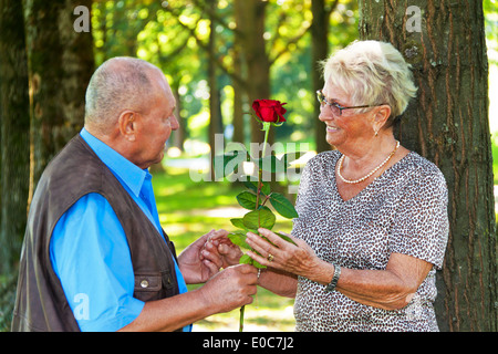 älteres Ehepaar verheiratet Senioren sind in der Liebe. Man übergibt eine Rose, Aelteres Senioren ueberlegen ist Verliebt. Mann Ueberreicht ei Stockfoto