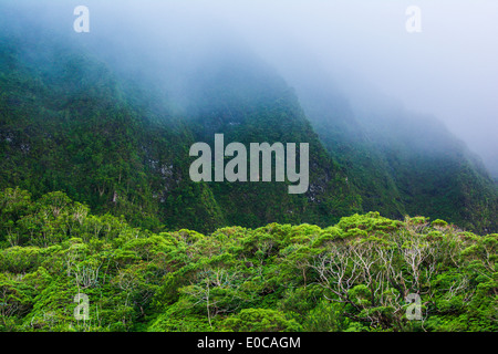 Koolau Mountains, Oahu, Hawaii, USA Stockfoto