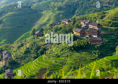 Dorf Haus und Reis-Terrassen in den Berg, Longsheng, Provinz Guangxi, China Stockfoto