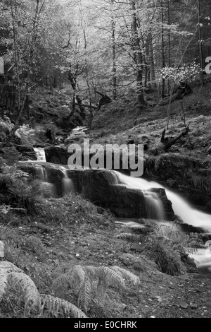 Wasserfall durch Lael Wald Stockfoto