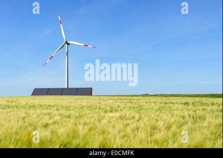Windkraftwerk erhebt sich über Sonnenkollektoren mit Mais-Feld im Vordergrund, Ulm, Baden-Württemberg, Deutschland, Europa Stockfoto