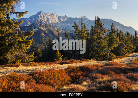 Blick vom Rossbrand in Richtung Dachstein, Radstadt, Salzburg, Österreich Stockfoto