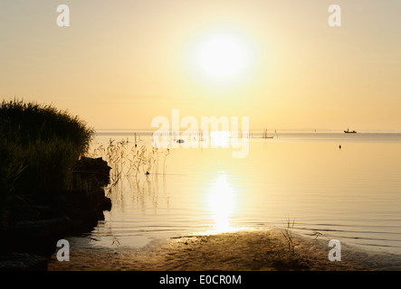 Stettiner Haff, Ostsee, Ueckermuende, Mecklenburg-Western Pomerania, Deutschland Stockfoto