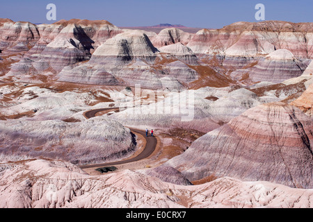 Blue Mesa, versteinerte Forest National Park, Arizona, USA, Amerika Stockfoto