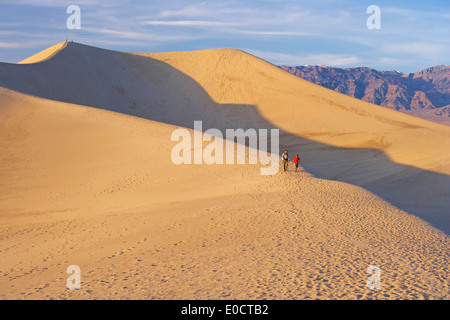 Zeigen Sie über Mesquite flache Sanddünen auf Amargosa Palette im Abendlicht, Death Valley Nationalpark, Kalifornien, USA, amerik. an Stockfoto