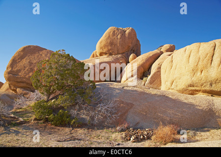 Jumbo Rocks im Joshua Tree National Park, Mojave-Wüste, Kalifornien, USA, Amerika Stockfoto