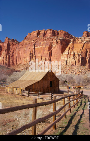 Scheune am Gifford Bauernhaus (1908), Capitol Reef National Park, Utah, USA, Amerika Stockfoto