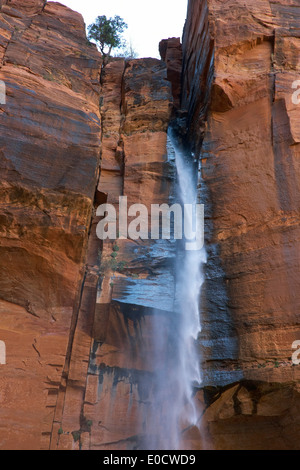 Wasserfall an der oberen Emerald Pool, Zion Nationalpark, Utah, USA, Amerika Stockfoto